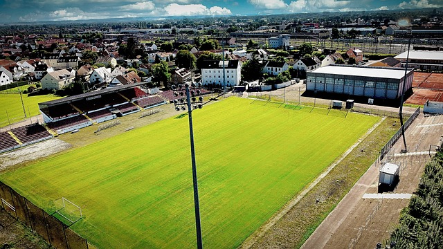 赛项目扣人 赛项目扣人