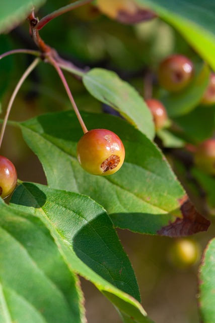 手个人能力 手个人能力